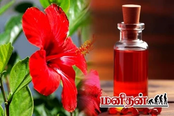 வாரத்திற்கு 2 தடவை போடுங்க... 15 நாட்களில் காடு போன்று முடி வளரும்