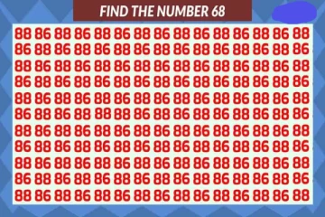 Optical illusion: உங்கள் கண்பார்வையை சோதித்து பாருங்கள் இதில் '68' எங்கே உள்ளது?