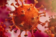 දිනයේ එක් එක් ලග්න වල පළා පල