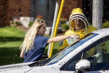 டிரக்கிலிருந்து விழுந்த 5 மில்லியன் தேனீக்கள்!