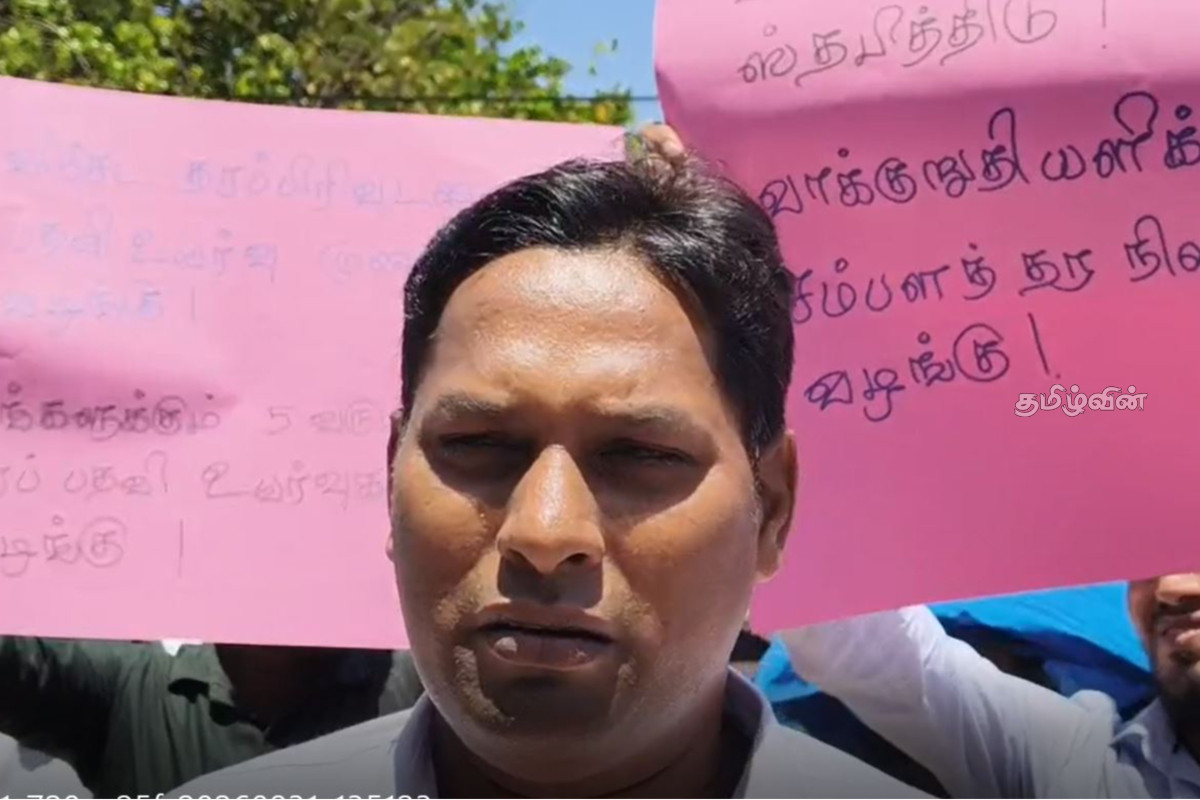 பல்வேறு கோரிக்கைகளை முன்வைத்து கவனயீர்ப்பு போராட்டத்தில் குதித்த தம்பலகாம அபிவிருத்தி உத்தியோகத்தர்கள் | Protest At Trincomalee பல்வேறு கோரிக்கைகளை முன்வைத்து கவனயீர்ப்பு போராட்டத்தில் குதித்த தம்பலகாம அபிவிருத்தி உத்தியோகத்தர்கள் | Protest At Trincomalee