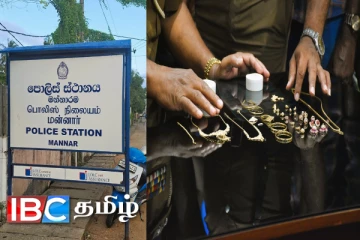 மன்னாரில் சிவராத்திரி தினமன்று திருடப்பட்ட நகைகள் : காவல்துறையின் துரித நடவடிக்கையில் மீட்பு