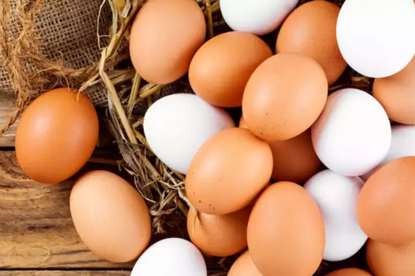 முட்டை இறக்குமதிக்கு டெண்டர்! | Tender For Egg Import