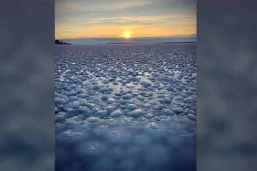 வாழ்நாளில் இப்படி ஒன்றை பார்த்ததில்லை: கனேடிய மாகாணத்தில் விசித்திர நிகழ்வு