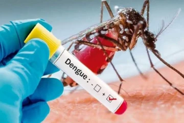 இலங்கையில் அதி தீவிரமாக பரவும் டெங்கு: அறிகுறிகள் என்ன? தப்பித்துக் கொள்வது எப்படி?