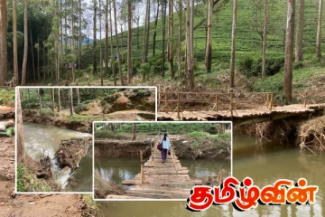 நுவரெலியாவில் தற்காலிகமாக அமைக்கப்பட்டுள்ள மரப்பாலம் : அச்சத்தில் மக்கள்