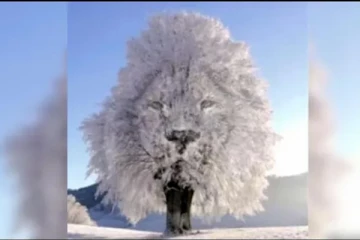 இந்த படத்தில் முதலில் உங்க கண்ணுக்கு என்ன தெரிந்தது? உங்களை பற்றிய சீக்ரெட் இதோ