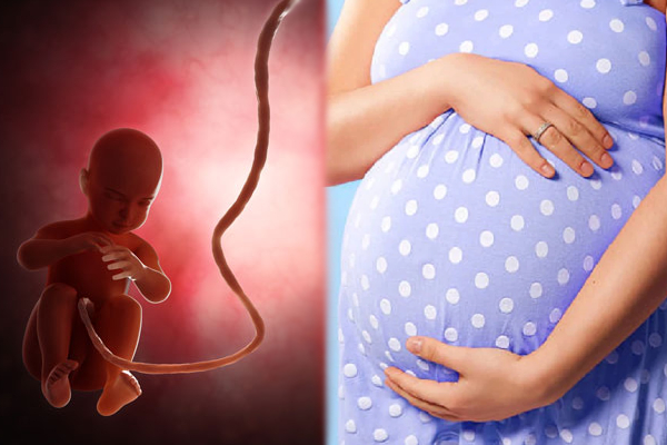 கர்ப்ப காலத்தில் பெண்கள் எதிர்கொள்ளும் சவால்கள்! இனிமேல் அந்த பயம் வேண்டாம் - ஐபிசி தமிழ்