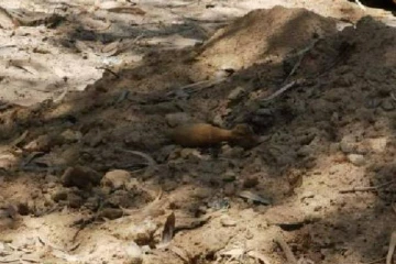 மட்டக்களப்பு பகுதியில் மீட்கப்பட்ட அபாயகரமான பொருட்கள்!