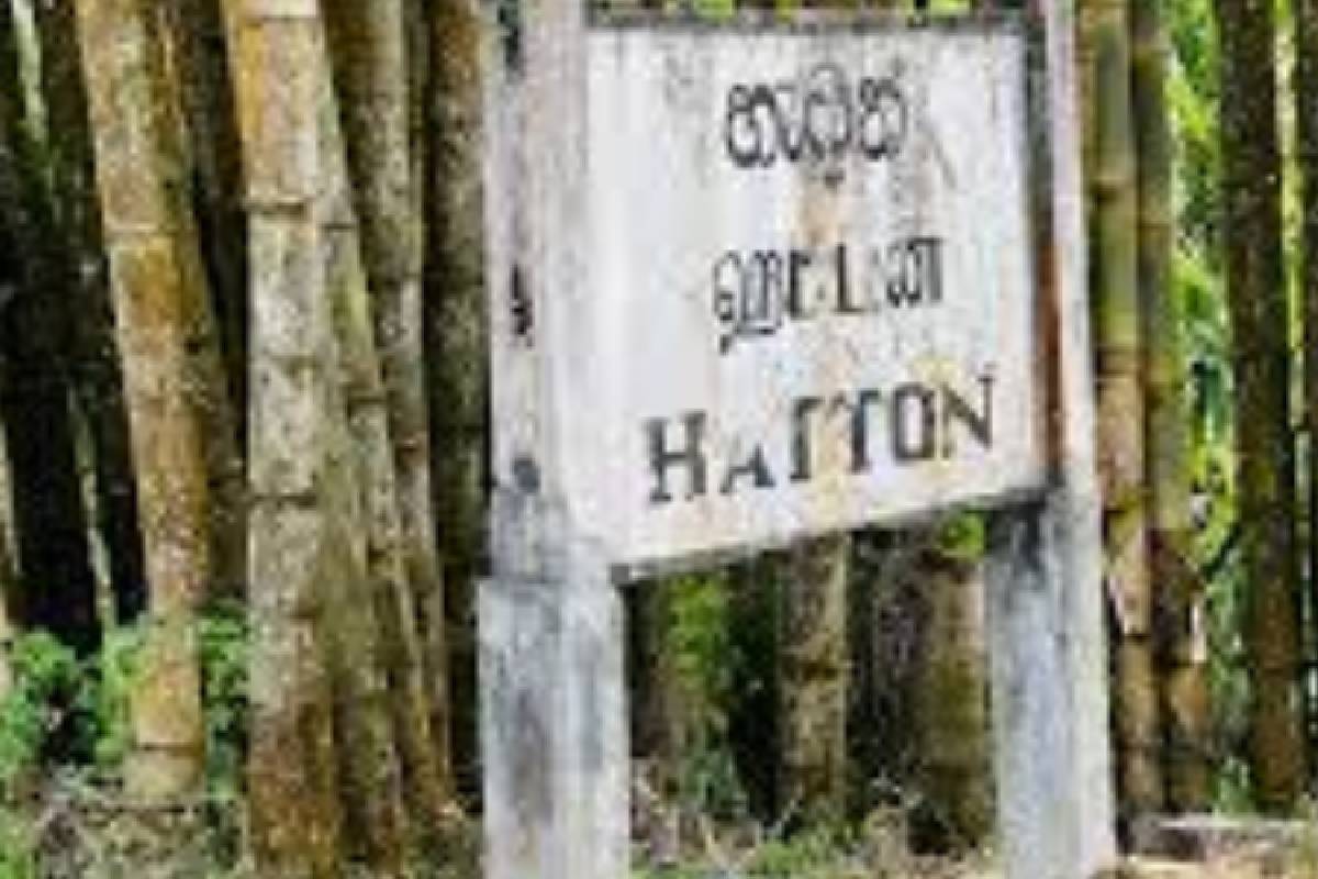 ஹட்டனில் சட்ட விரோத கட்டங்களுக்கு சில உறுப்பினர் ஆதரவு! விடுக்கப்பட்டுள்ள கோரிக்கை | Members Support Illegal Construction In Hatton