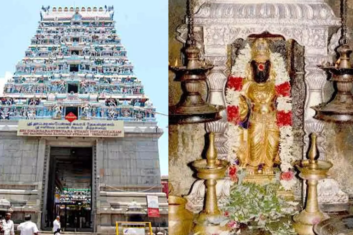 சனிபகவான் தாக்கம் குறைய திருநள்ளாறில் இந்த முறையில் பரிகாரம் செய்யுங்கள் | How To Do Remedies In Thirunallaru Sani Temple