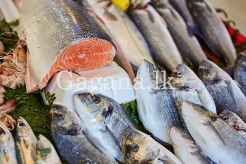 අද දින වෙළඳපොල මාළු මිල ගණන්.