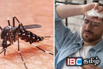 அதிகரிக்கும் சிக்குன்குனியா - விடுக்கப்பட்டுள்ள கடும் எச்சரிக்கை