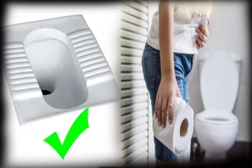 வெஸ்டன் கழிப்பறையால் இவ்வளவு பிரச்சினையா? தீர்வை கட்டாயம் தெரிஞ்சிக்கோங்க