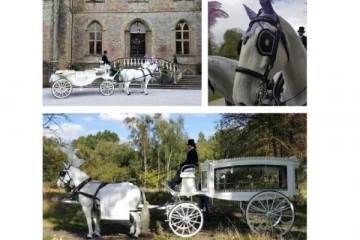 பிரித்தானியாவில் திருமண விழா மற்றும் இறுதிச்சடங்கிற்கு இருக்கும் கட்டுப்பாடுகள் பற்றி தெரியுமா? வெளியான முழு விபரம்