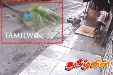 யாழி்ல் தென்னையில் ஏறியவர் தவறி விழுந்து உயிரிழப்பு!