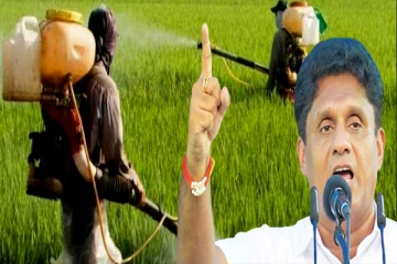 விவசாயிகளின் பிரச்சினைகள் தொடர்பில் சஜித் எழுப்பிய கேள்வி