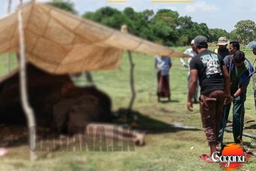 වෙඩි වැදුණු කෙනරක් හමුවෙයි