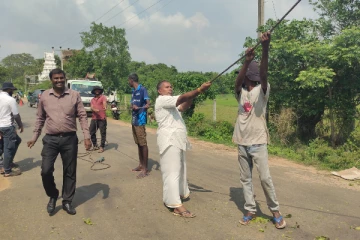 கிளிநொச்சியில் ஆபத்தான நிலையிலுள்ள மரங்களை அகற்றும் நடவடிக்கை தீவிரம் (Photos)