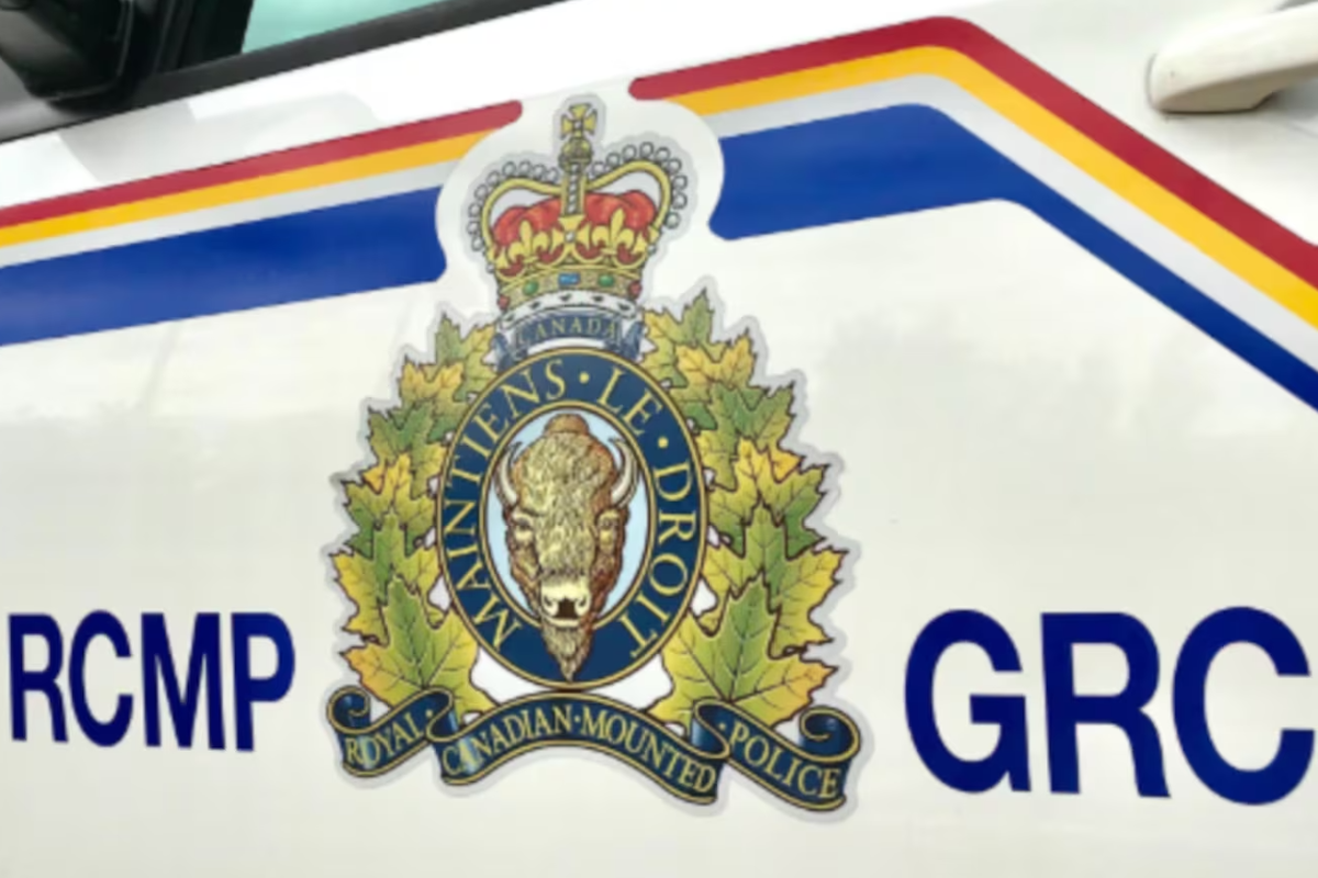 கனடாவில் இடம்பெற்ற வாகன விபத்தில் இரண்டு பேர் பலி | 2 Dead 2 Injured In Crash West Of St Paul கனடாவில் இடம்பெற்ற வாகன விபத்தில் இரண்டு பேர் பலி | 2 Dead 2 Injured In Crash West Of St Paul