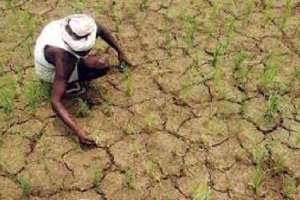 விவசாய அமைச்சர் வெளியிட்டுள்ள அறிவிப்பு | Compensation To Drought Affected Farmers