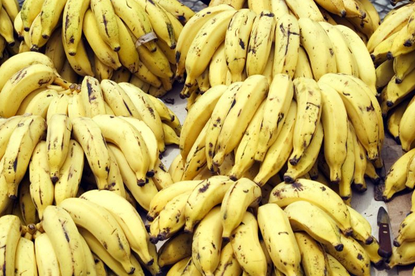 இலங்கைக்கு வாழைப்பழத்தால் கிடைத்த பெருந்தொகை லாபம்! | Sri Lanka Got A Lot Of Money From Bananas