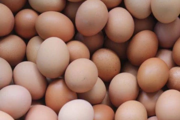 ஒரு முட்டையின் விலை இவ்வளவா?....அதிர்ச்சியில் மக்கள்