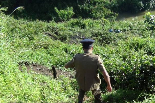 தெனியாய பகுதியில் பயங்கர விபத்து: பரிதாபமாக உயிரிழந்த ஆண் - பெண்! | Deniyaya Three Wheeler Accident Woman Man Died