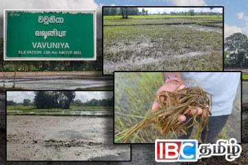 வெள்ளத்தில் மூழ்கிய நெல் வயல்கள் : விவசாயிகளின் வாழ்வாதாரம் கேள்விக்குறி!