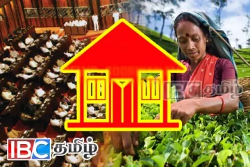 தமிழரசுக் கட்சி தேசியப்பட்டியல் ஆசனத்தை மலையக பிரதிநிதிக்கு வழங்குங்கள் - பறந்த கடிதம்