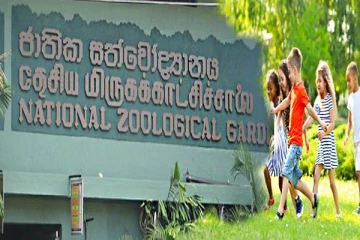 சிறுவர் தினத்தை முன்னிட்டு அரசாங்கம் விடுத்துள்ள முக்கிய அறிவிப்பு!