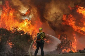 காட்டுத்தீயை பரப்பிய 24 பேருக்கு மரண தண்டனை நிறைவேற்றம்!