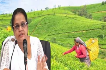 தோட்டத் தொழிலாளருக்கான நிதி ஒதுக்கீட்டில் முறைகேடு ; கணக்காய்வாளர் நாயகத்திடம் கோரிக்கை