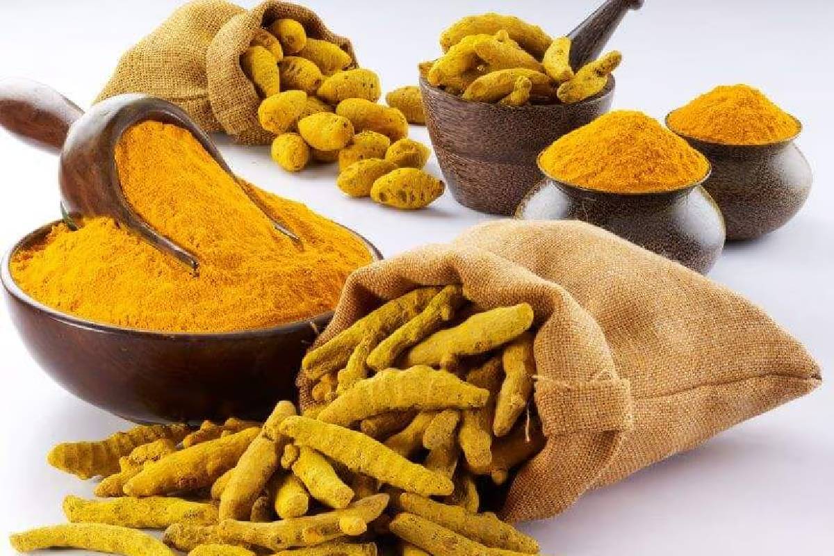 நோயெதிர்ப்பு சக்தியை வலுப்படுத்தும் நெல்லிக்காய்- இந்த உணவுகளுடன் சேர்த்துச் சாப்பிட்டால் இரட்டிப்பு பலன்கள்! | Best Pair With Amla To Boost Immunity Naturally