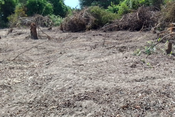 மட்டக்களப்பு காணி - எல்லை பிரச்சனை மீண்டும் இழுத்தடிப்பு | Batticaloa Land Dispute Stalls Again