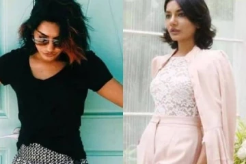 ரத்தன் டாடாவின் சலுகையை நிராகரித்தவர்.., ரூ.7000 கோடி மதிப்புள்ள நிறுவனத்தை நடத்தும் பெண் யார்?