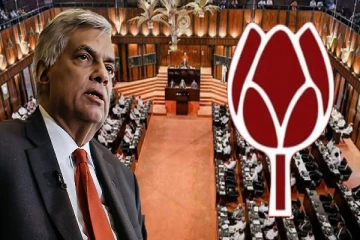 ரணிலுக்கு ஆதரவு: படையெடுத்த மொட்டு அமைச்சர்கள் மற்றும் எம்.பிக்கள்