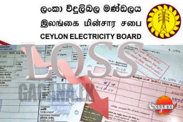 අලාභයෙන් කියන්න හදන්නේ ලයිට් බිල වැඩිකරනවා කියල ද?