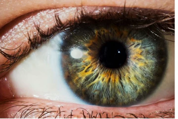 சர்க்கரை நோயால் கண்களில் ஏற்படும் மிக பெரிய ஆபத்து.... இவ்வளவு பக்கவிளைவுகளா? எச்சரிக்கை!