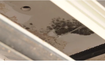 கனடாவில் வீடு ஒன்றை வாடகைக்கு அமர்த்திய பெண்ணுக்கு காத்திருந்த அதிர்ச்சி