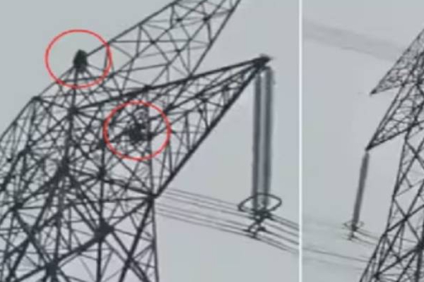 இளம் காதல் ஜோடிக்கு இடையே ஏற்பட்ட தகராறு: விபரீத முடிவை எடுத்த இருவர்! | Young Woman Argument With Her Lover Power Tower