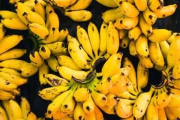 தினமும் காலை ஒரே ஒரு கற்பூரவள்ளி பழத்தை சாப்பிடுங்க... ஆச்சரியமூட்டும் நன்மை கிடைக்கும்