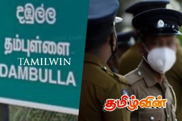 தம்புள்ளையில் பெருந்தொகையான வெடிபொருட்கள் மீட்பு