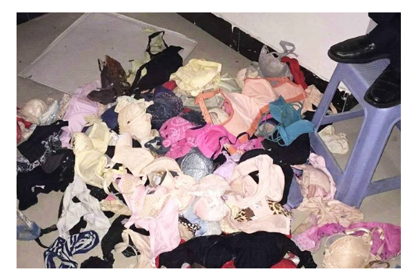 பெண்களின் 5000 உள்ளாடைகளை திருடிய திருடன் - தீவிர தேடுதலில் போலீசார்! | Underwear Thief Found Hoarding 5000 Pieces