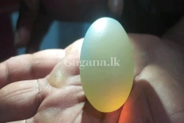 දෙවෙනි පාරටත් ව්‍යාපාරිකයා රවටන්න ගිහින් නොසිතූ දෙයක් සිදුවෙලා..