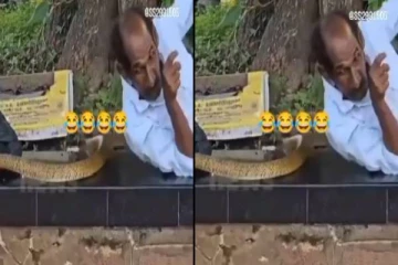 Viral Video: மரத்தின் கீழ் இளைப்பாறிக்கொண்டிருந்தவர் மீது அசால்ட்டாக ஏறிச்சென்ற பாம்பு