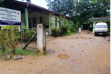 திருகோணமலையில் பாம்பு தீண்டி ஒருவர் பலி