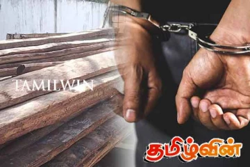 சட்டவிரோதமாக பனை மரங்களை கடத்தி சென்றவர் வட்டுக்கோட்டையில் கைது