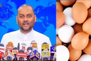 அடுத்த வருடம் முதல் முட்டை இறக்குமதி செய்ய வேண்டிய அவசியம் இல்லை : மகிந்த அமரவீர