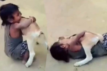 குழந்தையை விடாமல் புரட்டி எடுத்த ஆட்டுக்குட்டி... சிரிப்பை அடக்கமுடியாத காட்சி